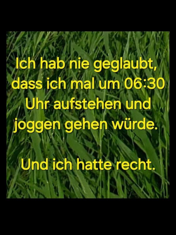 IMG_4167.jpeg